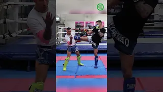 Heavy Hands to Counter Body Kicks - Muay Thai with Liam Harrison