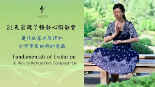 進化的基本原理和如何實現純粹的意識 Fundamentals of Evolution & How to Realize Pure Consciousness (1)