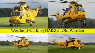 Sea King HAR.3 | Old Warden 2021