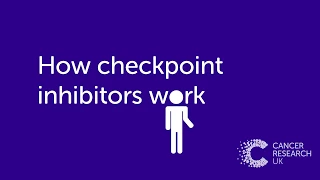 Checkpoint Inhibitors | How do they works as a cancer treatment? | Cancer Research UK