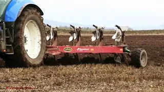 Ploughing with New Holland T7.210.