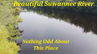 Branford Fl 49.5 Miles From Otter Creek Fl  Look How Beautiful The Suwannee River Is