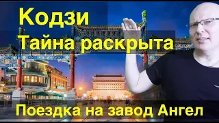 Дрожжи, Кодзи, завод Ангел - СУПЕРЦЕНЫ на все