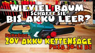 Ausgereizt: 20V Akku-Kettensäge PKSA 20-Li B2 von PARKSIDE®