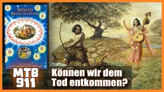 Wie sieht wahre Todlosigkeit aus? (ft. MTB-Nektarhummeln) | Mein tägliches Bhagavatam #911