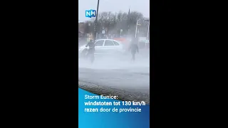 Februari 2022: Storm Eunice raast door Noord-Holland: bomen vallen, auto heeft geluk #shorts