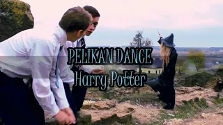 Harry Potter dance/pelican(choreography)dance video