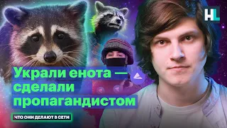 Z-поэзия, «Цой» в «Лужниках», русский мир для самых маленьких | Что «покраденный» енот делает в сети