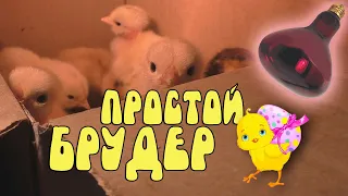 ПРОСТОЙ БРУДЕР ДЛЯ ЦЫПЛЯТ СВОИМИ РУКАМИ ♥