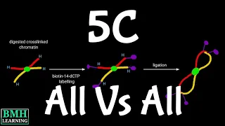 5-C | Chromosome Conformation Capture Carbon Copy | 3C Vs 4C |