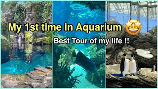 Aquarium — Aquarium In Lisbon Portugal 🇵🇹 // A day Out