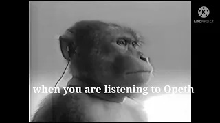 when you are listening to Opeth