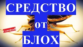 Как избавиться от БЛОХ в квартире. Средство. Как вывести. В доме. Народными средствами. Блохи. Вош