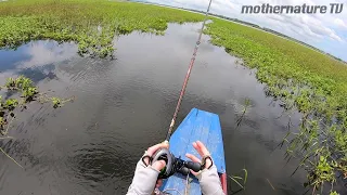 Insane Giant Snakehead Topwater Explosions on the Buzzbait in Thailand!
