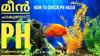 How to check PH value of water in aquarium | Malayalam | Animal Factory