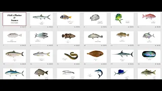Fish's names in Urdu and English Types of Fishes According to their Taste.