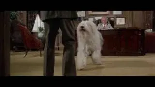Dog Punch! - crazy dog (perro)