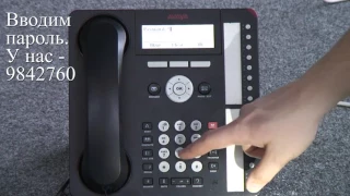 Delta Telecom - телефон Avaya 1616