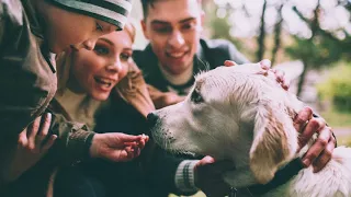 Обучение Семейной Фотосессии Под Дождем. Мастер класс и курсы семейной фотографии