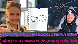 Реальный Сочи в ноябре. Мы в шоке, потому что...