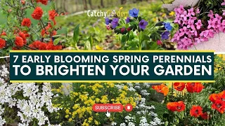 7 Early Blooming Spring Perennials To Brighten Your Garden 🌹🌸 // Gardening Tips