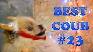 BEST СOUB #23 | Лучшие Приколы | Подборка 2018