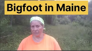 (Part 2) #bigfoot in Maine, I encountered something I cannot explain