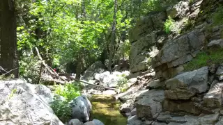 May 17th 2015 Hike to Heart Rock in Crestline, Ca(17)