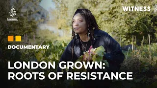 London Grown: Fighting food insecurity in one of the world’s richest cities | Witness Documentary