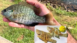 These Panfish Taste So Good Fried Whole!【Catch And Cook】