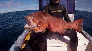 Spearfishing Big Tuna, Mackerel and Lobster in Crazy Clear Water! - Western Australia