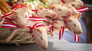 Amazing Guinea Pig Farming-Frog Meat Processing-Shocking Meat Processing Technology