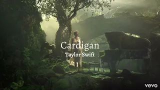 Cardigan - Taylor Swift (lyrics)