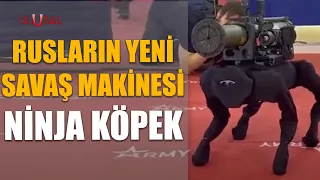 Rusya ve ABD arasında robot savaşları: Boston Dynamics'e karşı Ninja Köpek