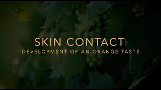 Skin Contact: Development of an Orange Taste (Full Documentary HD)