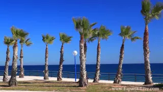 Испания побережье Коста Бланка, Плайа Фламенка набережная, море, пляжи, Playa Flamenca недвижимость