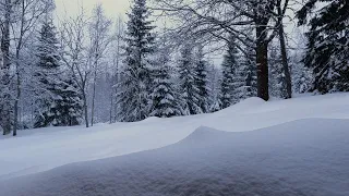 Finding Peace in the Swedish Winter Forest: Relaxing Music