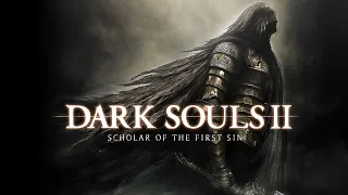 Наверняка я об этом пожалею Dark Souls 2: Scholar of the First Sin