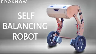 Diy Arduino Based Self Balancing Robot | PROKNOW