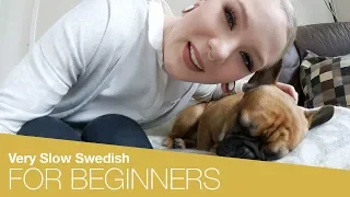 Practice Your Swedish: Around the Apartment