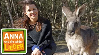 Wo lebt das Känguru? | Tierische Kinderlieder | Anna und die wilden Lieder