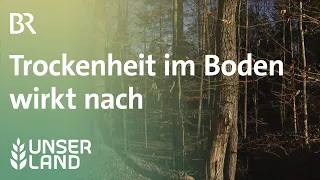 Trockenheit im Boden wirkt auch im Winter nach | Unser Land | BR Fernsehen