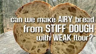 OPEN CRUMB from STIFF DOUGH with WEAK FLOUR? | by JoyRideCoffee