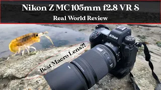 Nikon Z MC 105mm f/2.8 VR S Real World Review | The best macro lens?