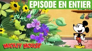 Mickey Mouse - Mon petit jardin