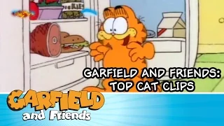 Garfield and Friends: Top Cat Clips - Compilation