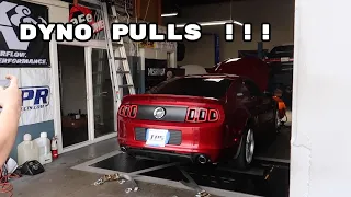2014 Mustang GT goes on the DYNO