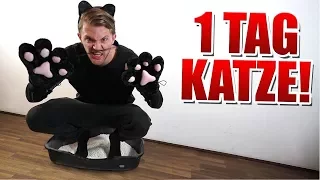 1 Tag lang Katze sein! | Andre vs. Cengiz