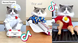 That Little Puff | Cats Make Food 😻 | Kitty God & Others | TikTok 2024 #87