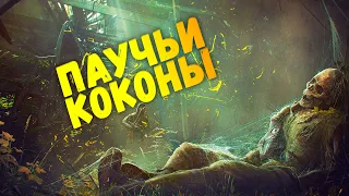 СОБРАЛ ПАУЧЬИ КОКОНЫ В STALKER ONLINE! ЗНАКОМСТВО С ИМАРЕКОМ - STAY OUT